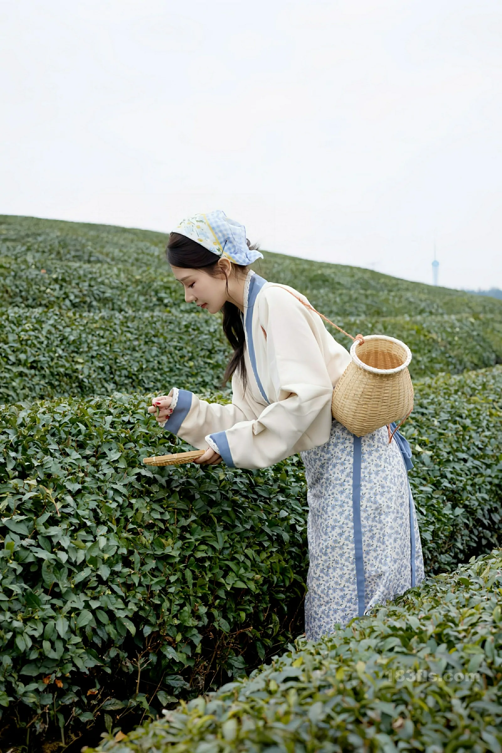 [XIUREN秀人网] 2025.12.11 No.11098 尹甜甜-第6张图片-宅男套图吧