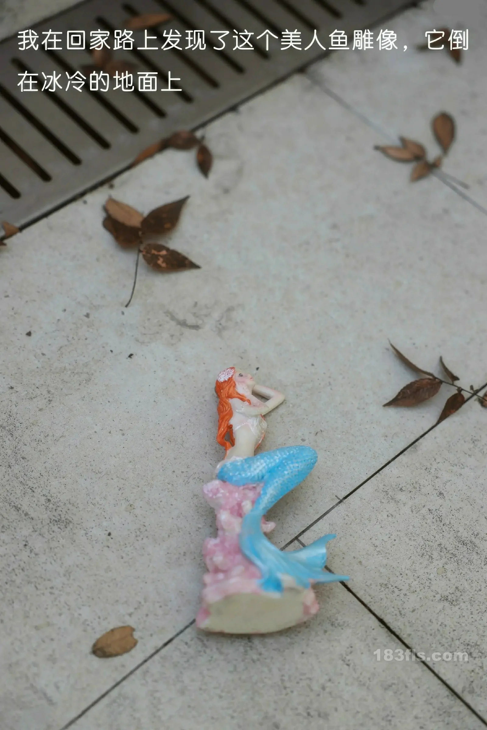 [XiuRen秀人网] 2026.01.30 No.11298 小薯条nienie-第4张图片-宅男套图吧