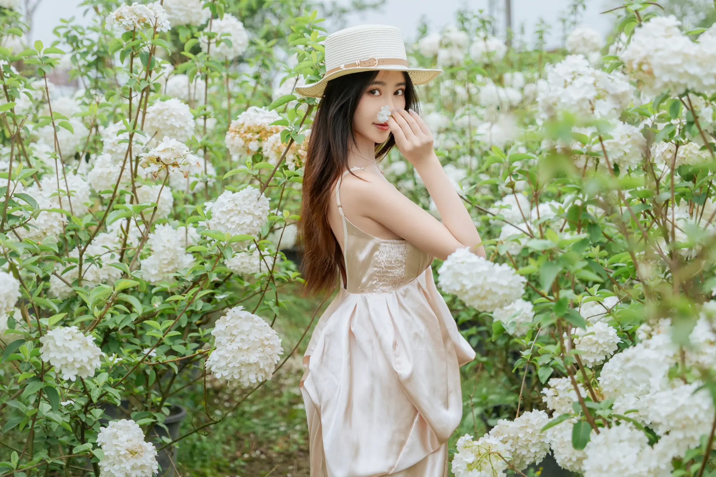 年年Nnian - 木绣球-第3张图片-宅男套图吧